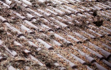 Eydon roof cleaning companies